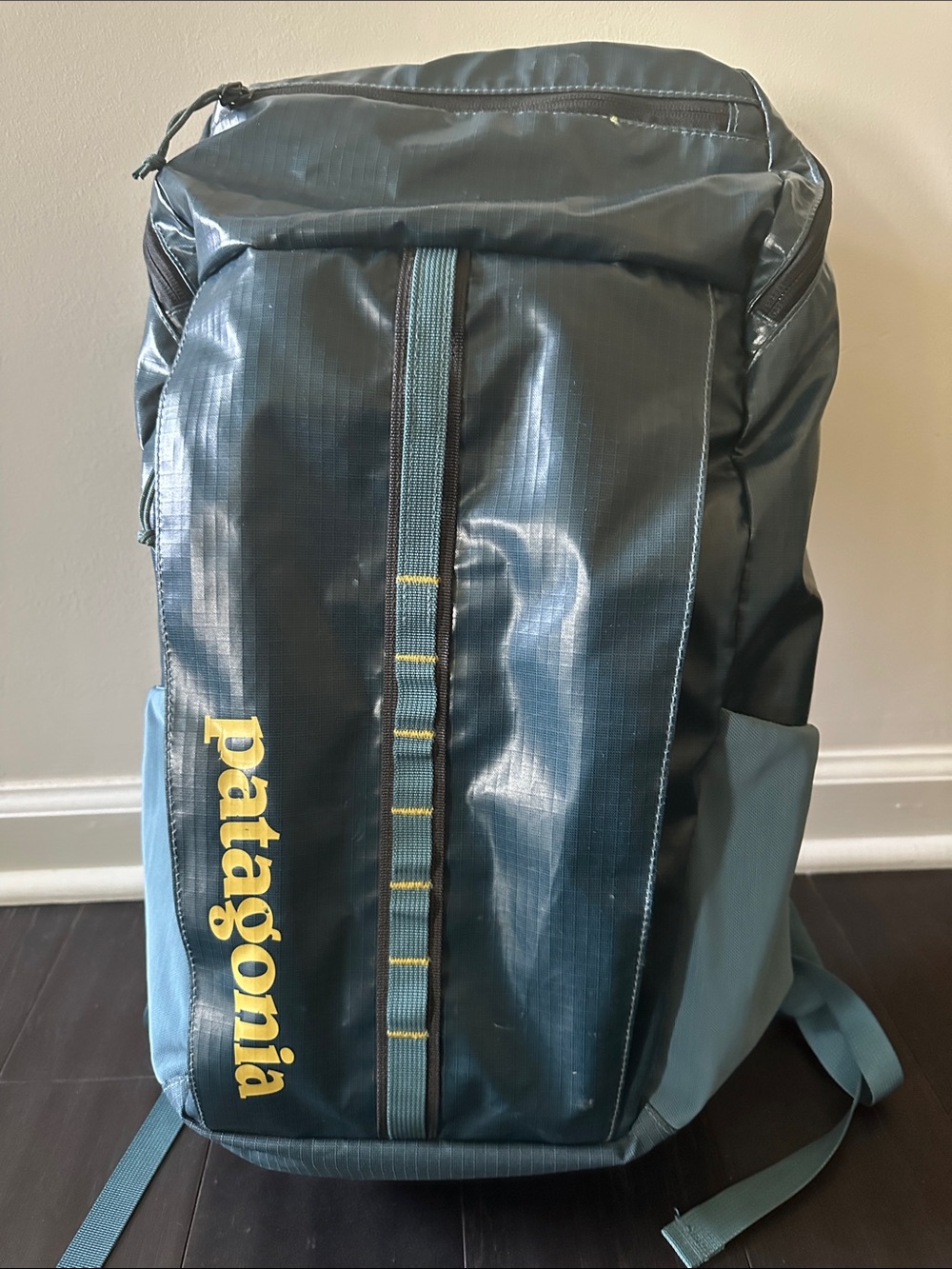 Patagonia Black Hole Pack 25L